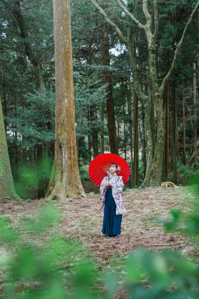 卒入園 9
