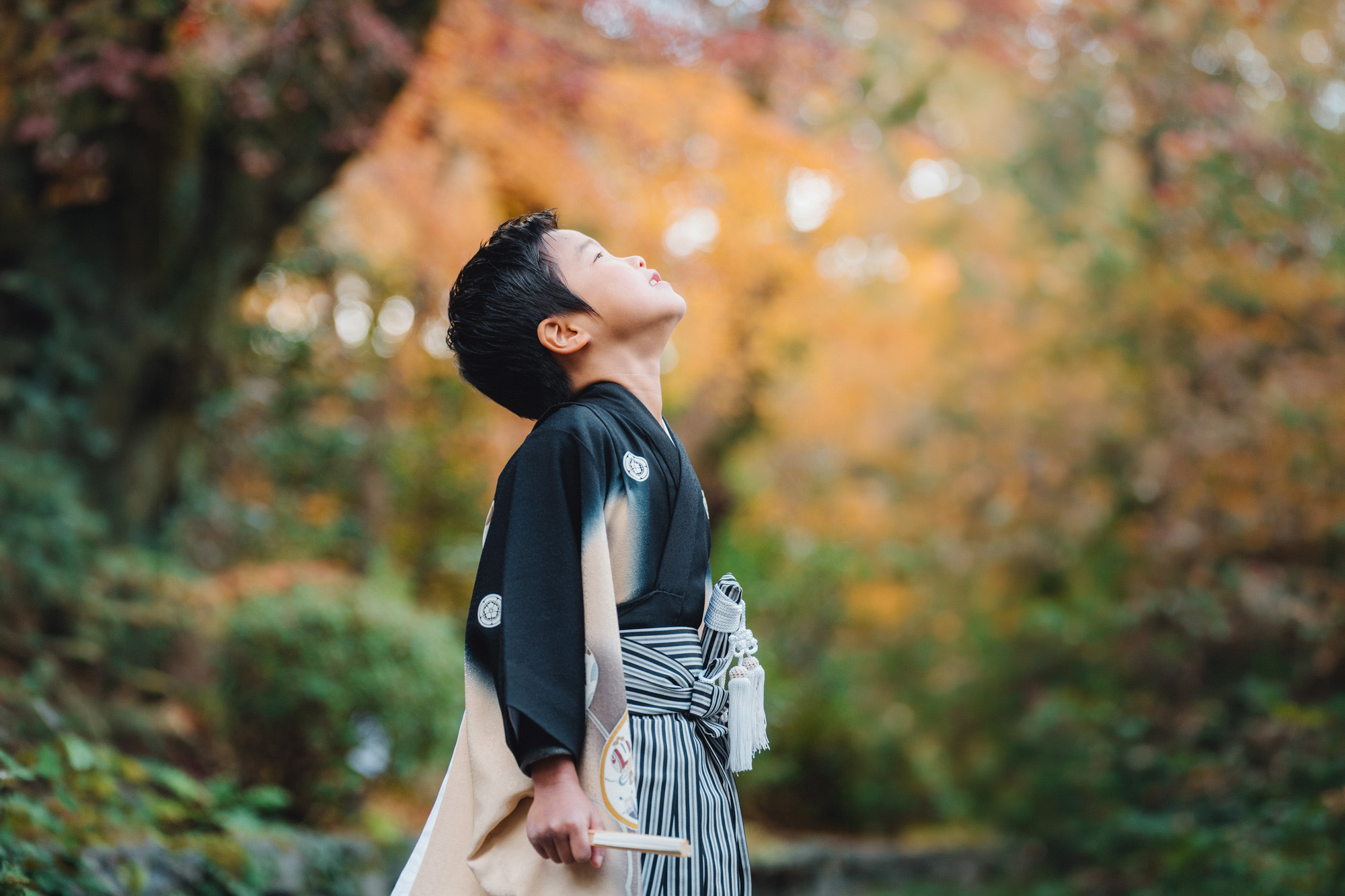 写真堂みちしるべのメインビジュアル